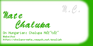 mate chalupa business card